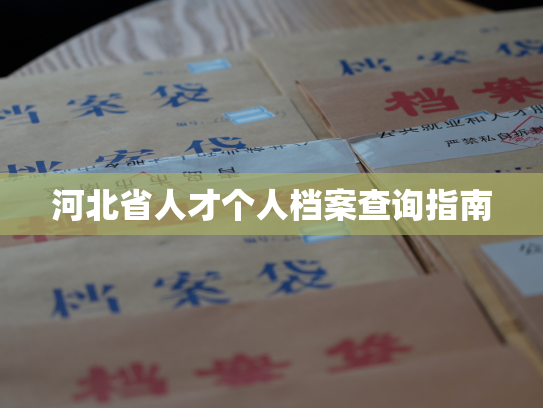 河北省人才个人档案查询指南