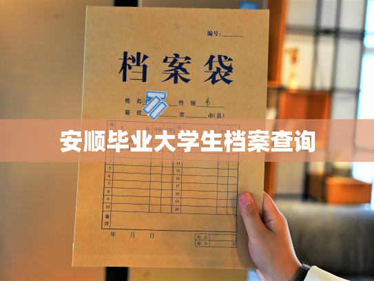 安顺毕业大学生档案查询