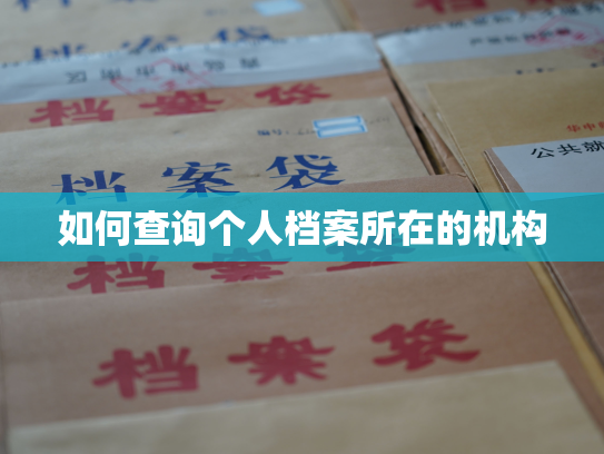 如何查询个人档案所在的机构
