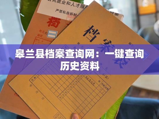 皋兰县档案查询网：一键查询历史资料