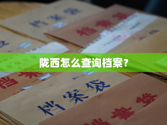 陇西怎么查询档案？