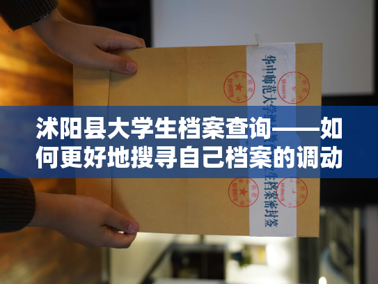 沭阳县大学生档案查询——如何更好地搜寻自己档案的调动进度？