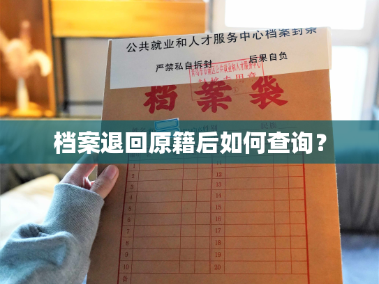 档案退回原籍后如何查询？