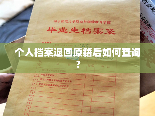 个人档案退回原籍后如何查询？