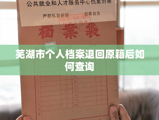 芜湖市个人档案退回原籍后如何查询