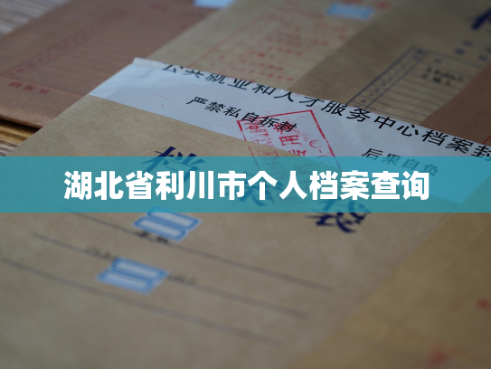 湖北省利川市个人档案查询