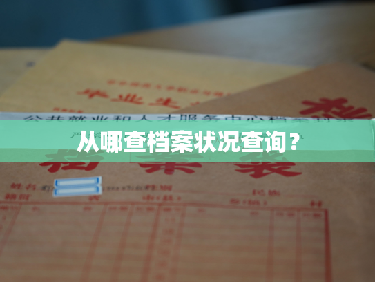 从哪查档案状况查询？