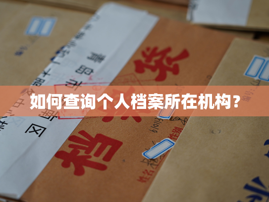 如何查询个人档案所在机构？