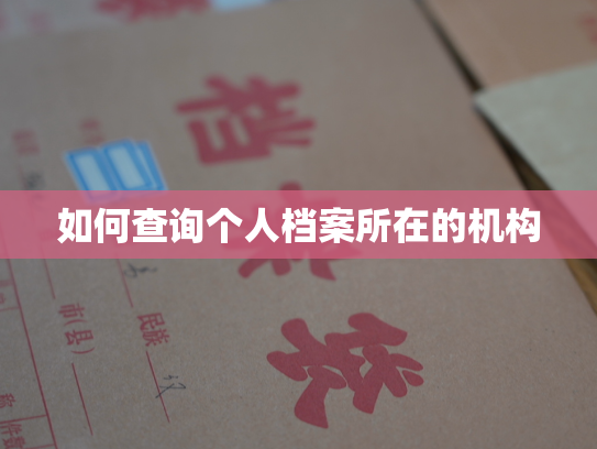 如何查询个人档案所在的机构