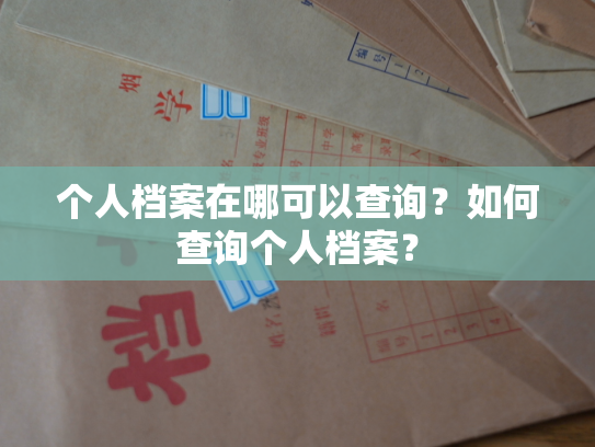 个人档案在哪可以查询？如何查询个人档案？