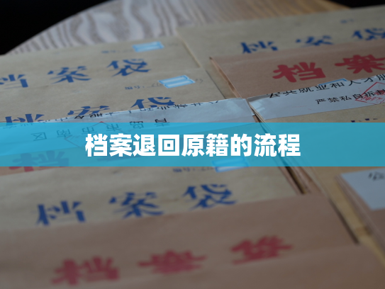 档案退回原籍的流程