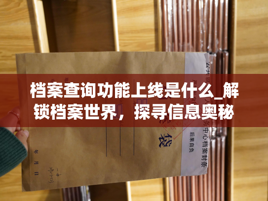 档案查询功能上线是什么_解锁档案世界，探寻信息奥秘