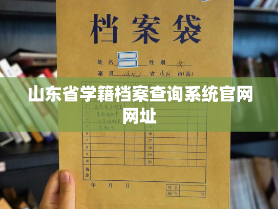 山东省学籍档案查询系统官网网址