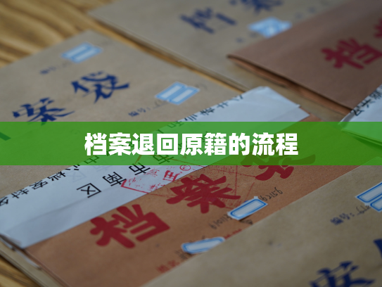 档案退回原籍的流程