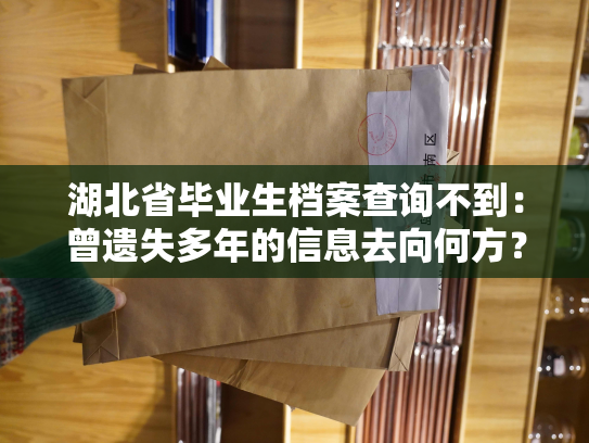 湖北省毕业生档案查询不到：曾遗失多年的信息去向何方？
