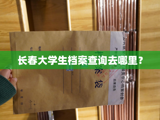 长春大学生档案查询去哪里？