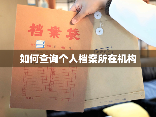 如何查询个人档案所在机构