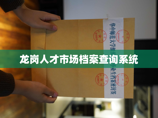 龙岗人才市场档案查询系统