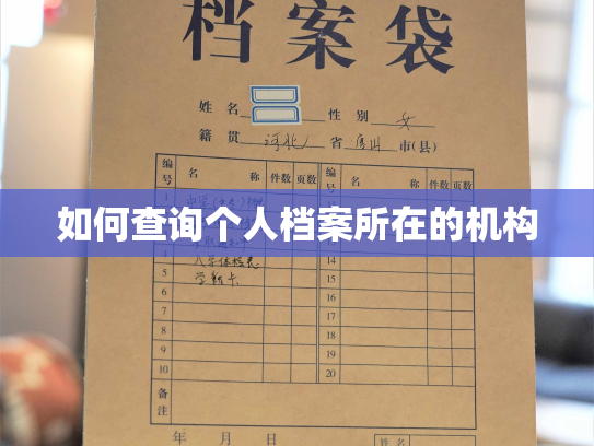 如何查询个人档案所在的机构