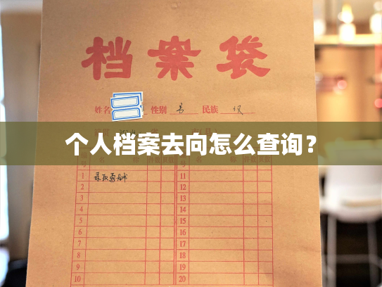 个人档案去向怎么查询？