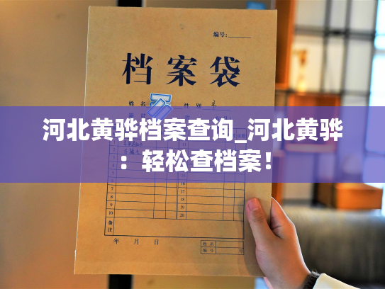 河北黄骅档案查询_河北黄骅：轻松查档案！