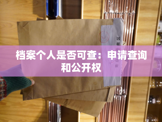 档案个人是否可查：申请查询和公开权