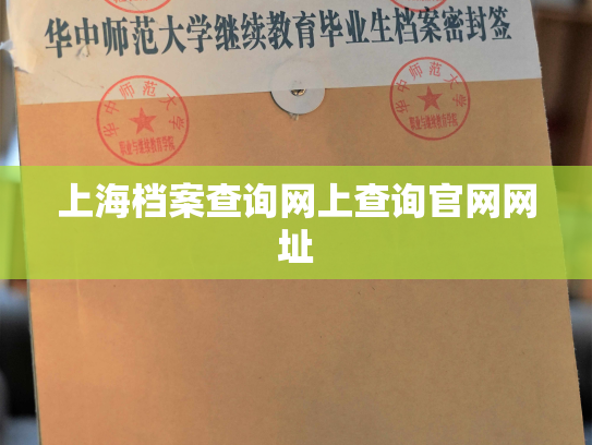 上海档案查询网上查询官网网址