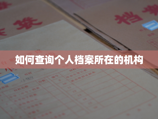 如何查询个人档案所在的机构