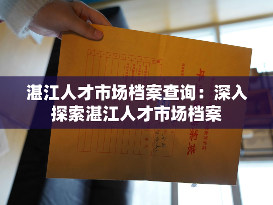 湛江人才市场档案查询：深入探索湛江人才市场档案