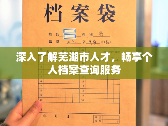 深入了解芜湖市人才，畅享个人档案查询服务
