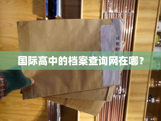 国际高中的档案查询网在哪？