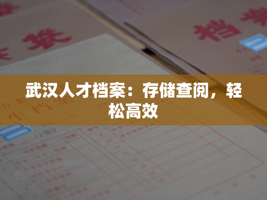 武汉人才档案：存储查阅，轻松高效