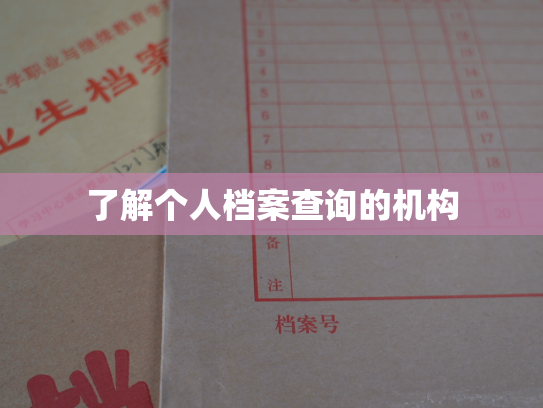 了解个人档案查询的机构