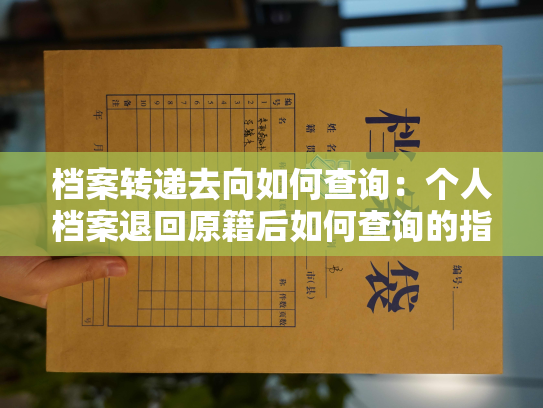 档案转递去向如何查询：个人档案退回原籍后如何查询的指南