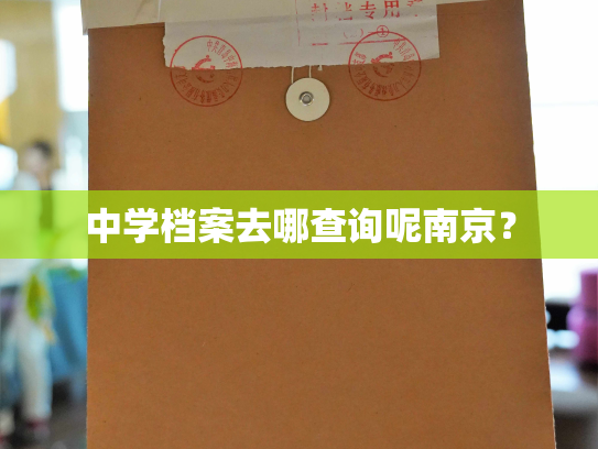 中学档案去哪查询呢南京？
