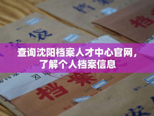 查询沈阳档案人才中心官网，了解个人档案信息