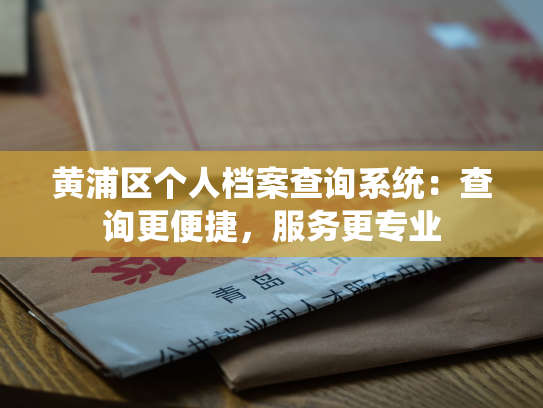 黄浦区个人档案查询系统：查询更便捷，服务更专业