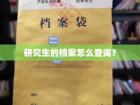 研究生的档案怎么查询？