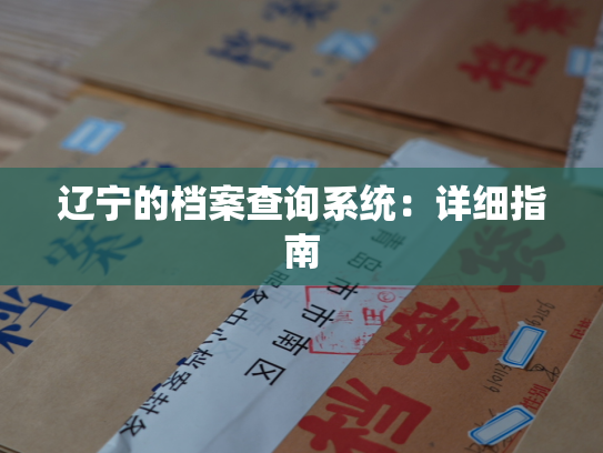 辽宁的档案查询系统：详细指南
