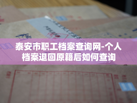 泰安市职工档案查询网-个人档案退回原籍后如何查询