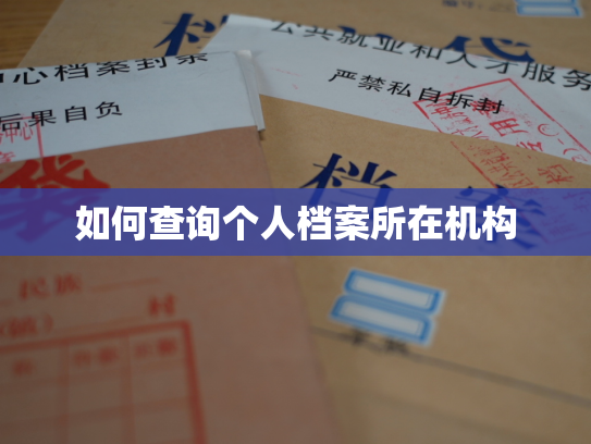 如何查询个人档案所在机构