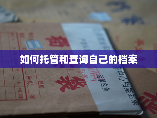 如何托管和查询自己的档案