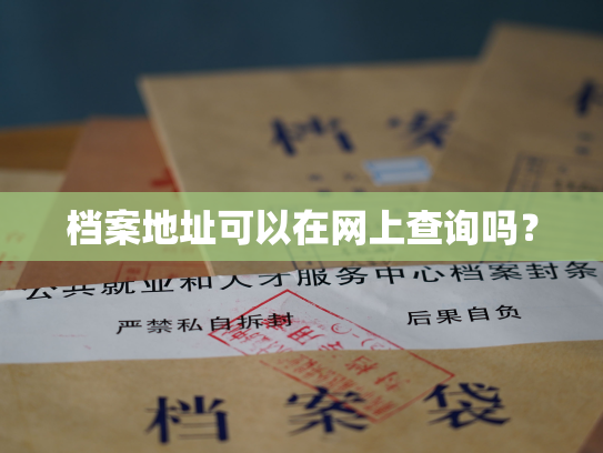 档案地址可以在网上查询吗？