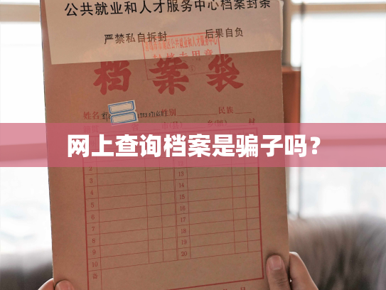 网上查询档案是骗子吗？