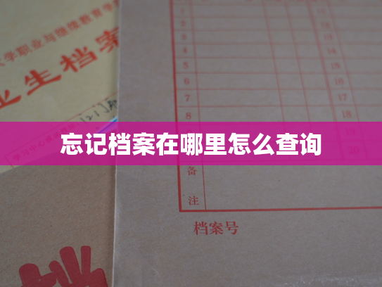 忘记档案在哪里怎么查询