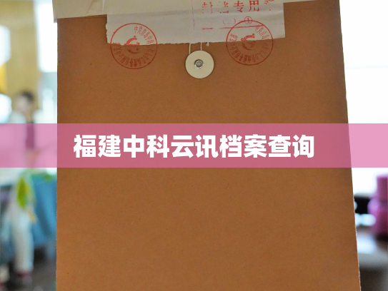 福建中科云讯档案查询