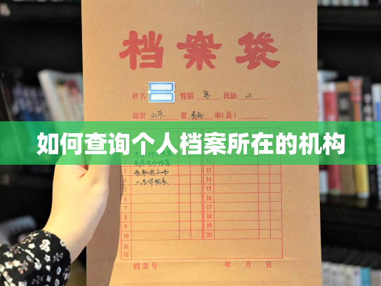 如何查询个人档案所在的机构