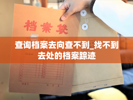 查询档案去向查不到_找不到去处的档案踪迹