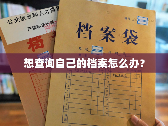 想查询自己的档案怎么办？