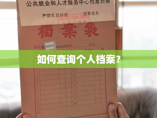 如何查询个人档案？